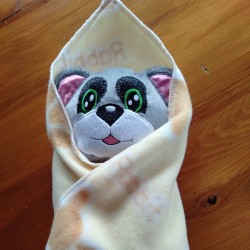 Swaddled Teddy Male