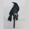 Tui