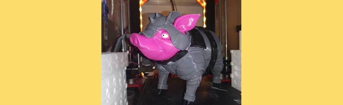 Pig